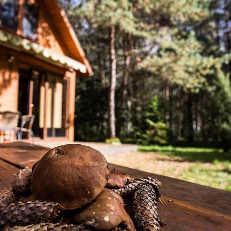 Domek Pod Klonem Zary  Buitenkant foto