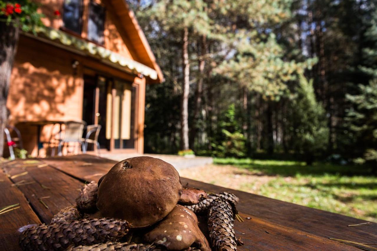 Domek Pod Klonem Zary  Buitenkant foto