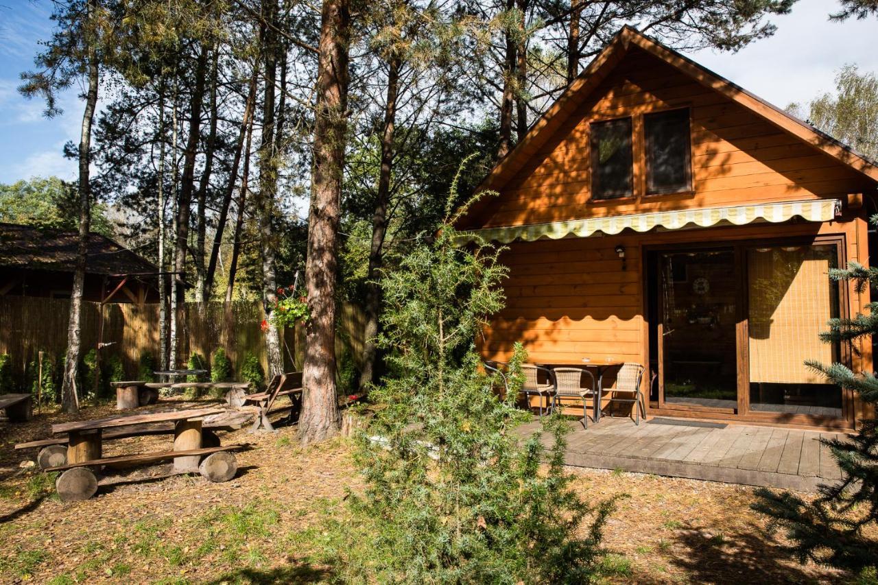 Domek Pod Klonem Zary  Buitenkant foto